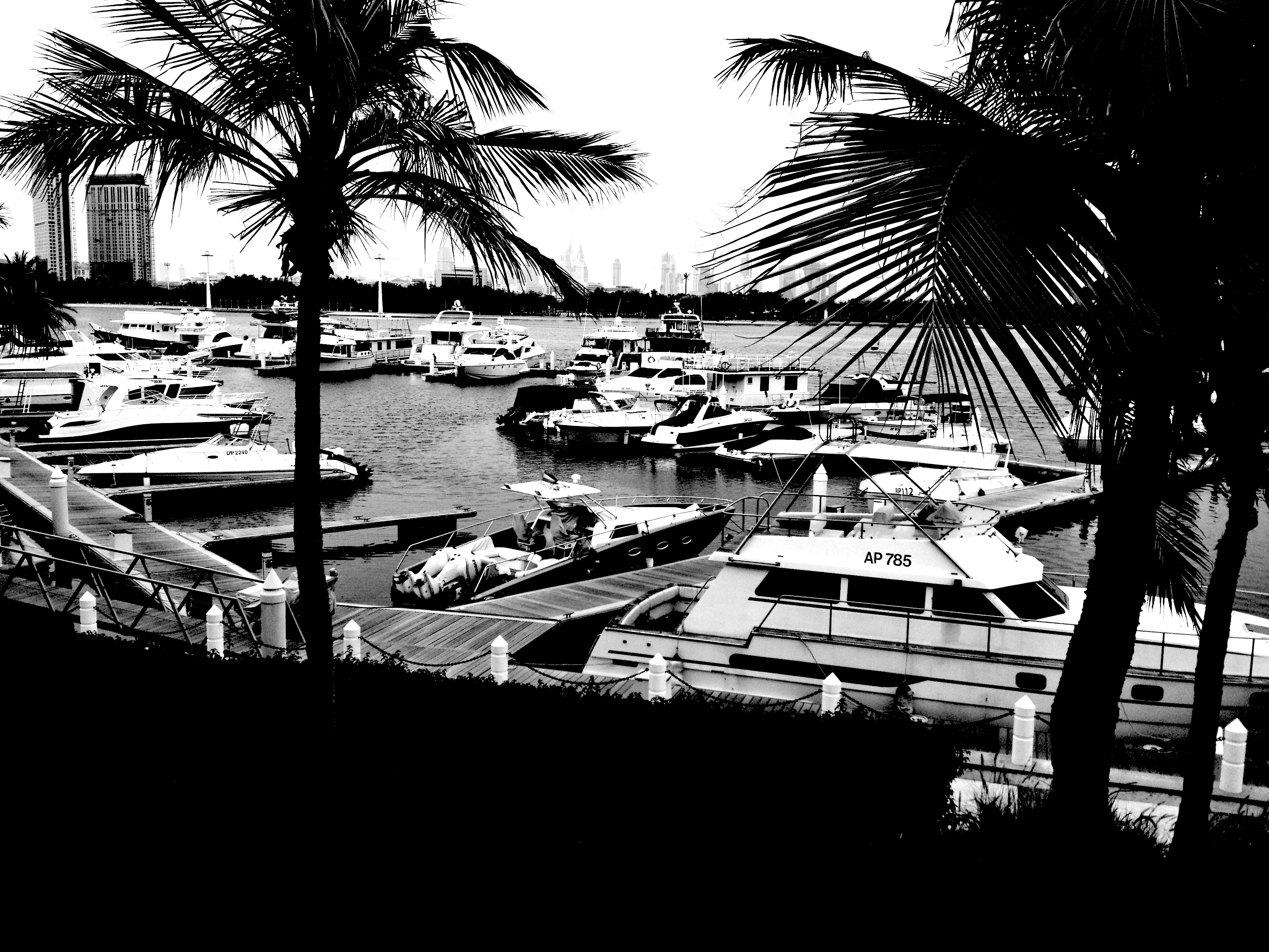 Black Image Dubai Marina